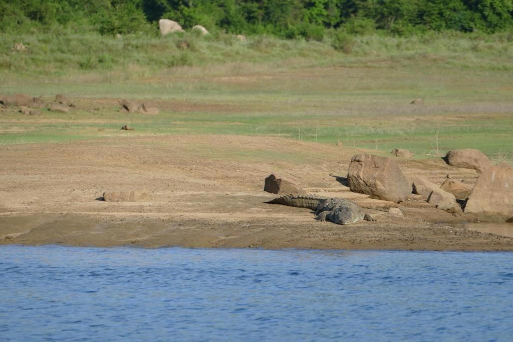 Gal Oya Lake View Inginiyagala Polwatta 외부 사진